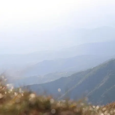 Vikendica Despotovic * Kopaonik