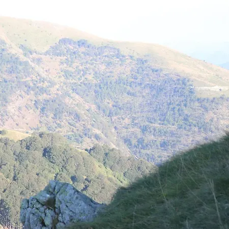 Vikendica Despotovic * Kopaonik