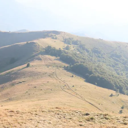 Holiday home Vikendica Despotovic Kopaonik