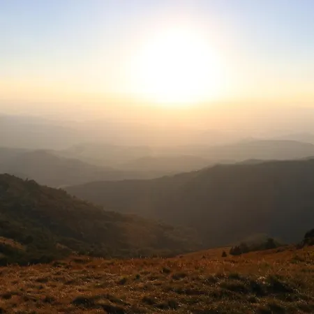 Vikendica Despotovic