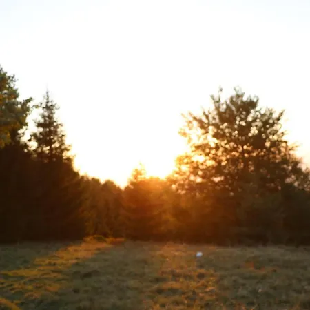 Vikendica Despotovic Holiday home Kopaonik