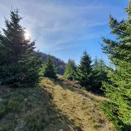 Vikendica Despotovic *