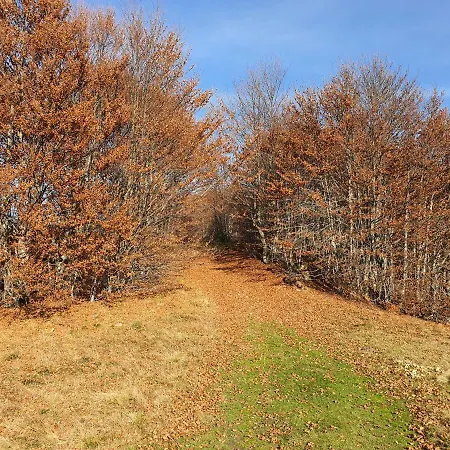 Holiday home Vikendica Despotovic Kopaonik