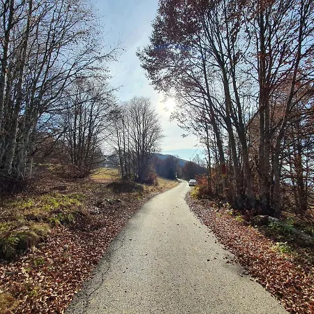 Vikendica Despotovic *