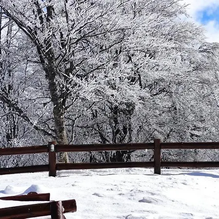 Vikendica Despotovic Holiday home *