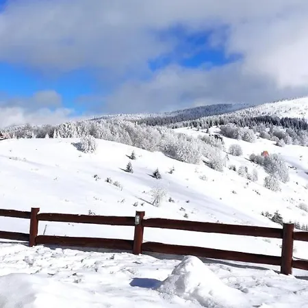 Vikendica Despotovic *