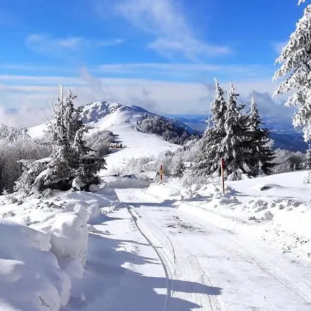 Vikendica Despotovic *