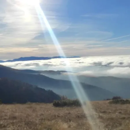 Vikendica Despotovic Holiday home *