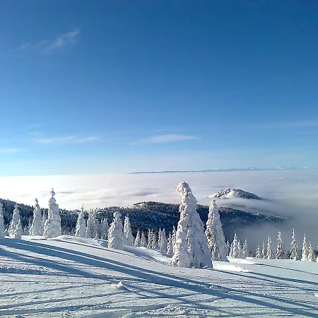 Vikendica Despotovic Holiday home