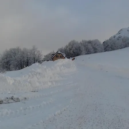 Holiday home Vikendica Despotovic