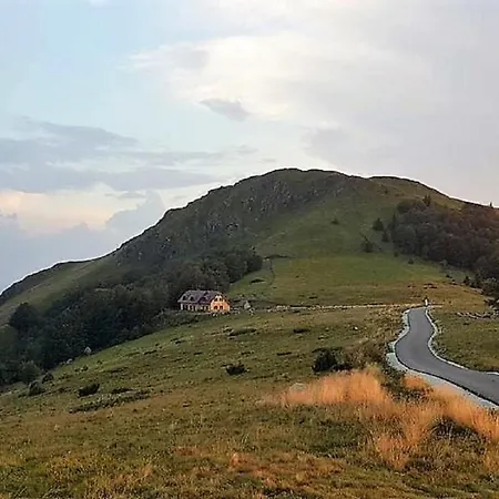 Vikendica Despotovic