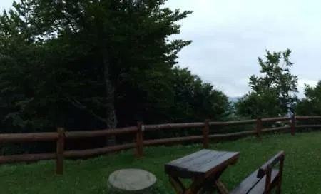 Vikendica Despotovic Holiday home Kopaonik