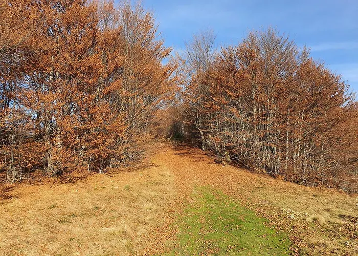 بيت للعطل Vikendica Despotovic كوباونيك
