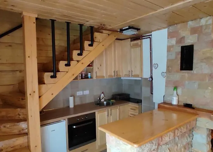 Vikendica Despotovic بيت للعطل *