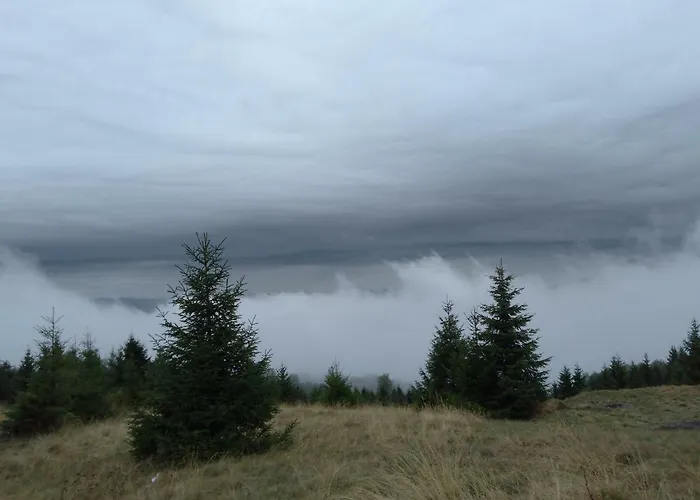 Vikendica Despotovic *